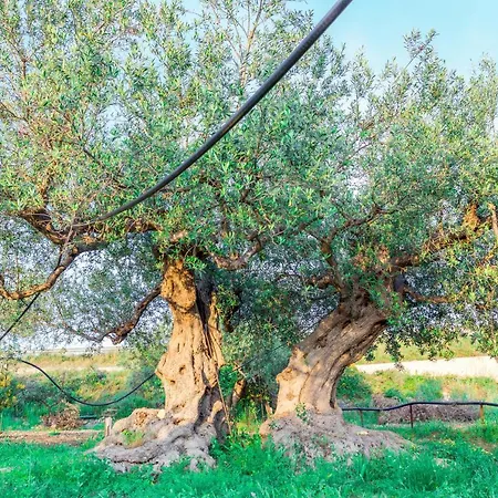 ⭑ ⭑ ⭑ ⭑ ⭑ Relax A - Nella Natura